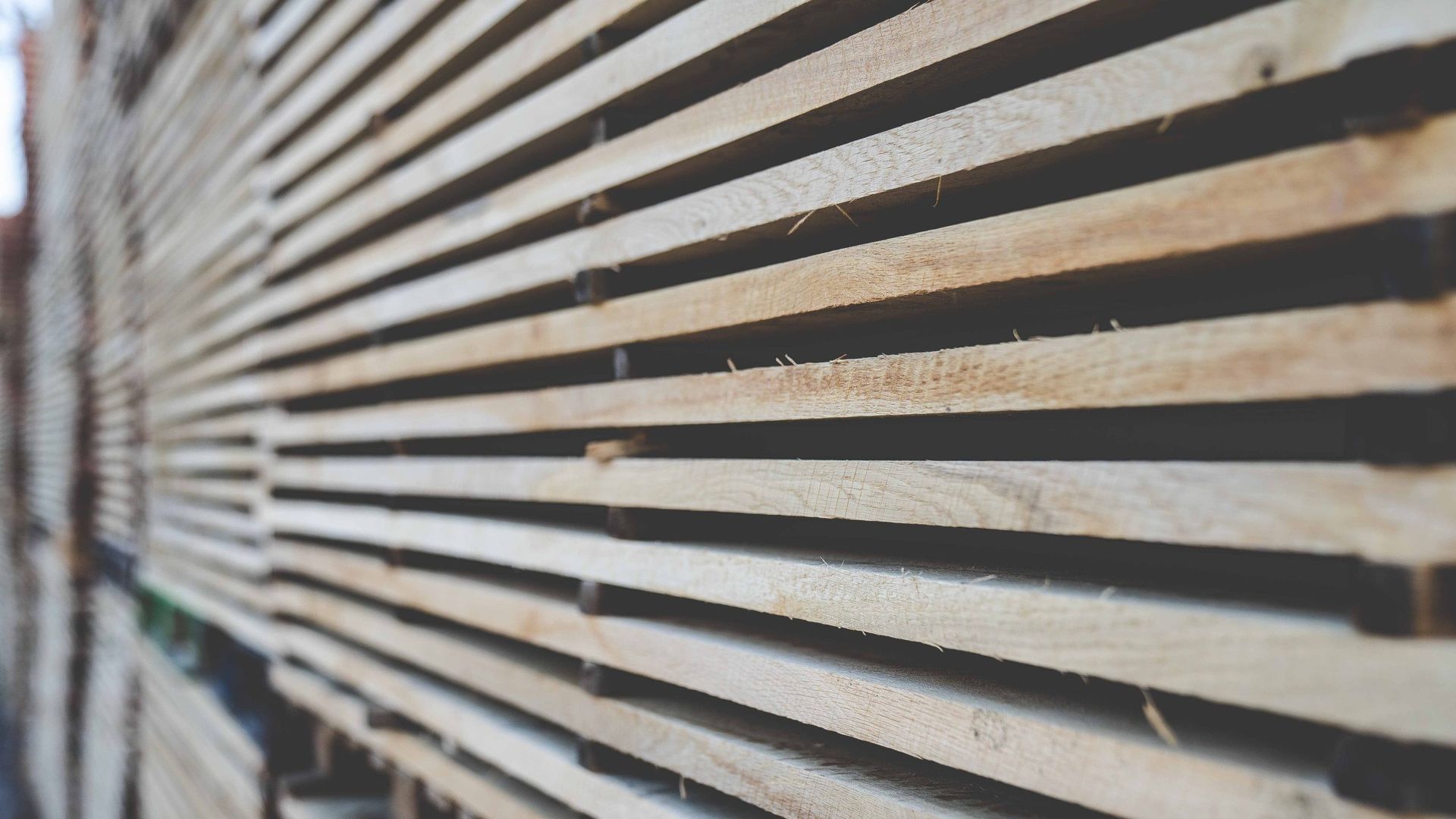 Oak stacked for drying at the Artistico facility in the village of Trud
