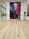 20240922_144354.webp